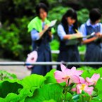 真夏のスケッチ