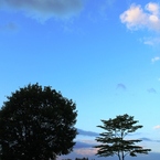 夏　早朝 7
