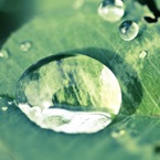 Une goutte
