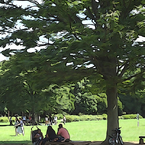 Liveｓ in the Park Vol,1　07
