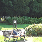 Lives in the Park Vol,2 06