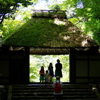 幸せな家族の法然院