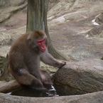 足湯でほっこり