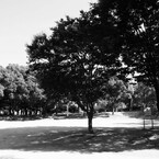 2012 summer 日常風景17