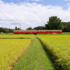 みのりの駅（駅へのあぜ道Ⅱ）
