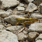 P1110677