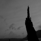 湖に佇む枯木と月
