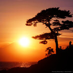 Lovers　＆　Mt.Fuji