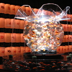 GOLDFISH