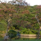P1030229