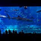 Sea theater