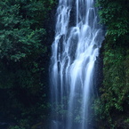 白糸の滝（９）