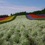 想い出の北海道3（2006/7）