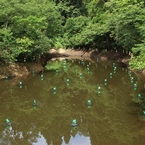 大地の記憶ーかざぐるまの道B「water sire」