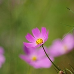 s-IMGP2427
