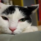 ふぅ・・