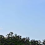 _DSC0115