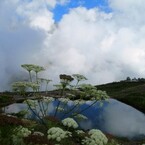 湧き上がる雲、そして八方池