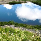 八方池と花