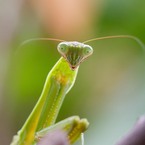 目が合いましたね。