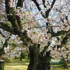 s-IMG_1074
