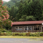 百日紅のある廃校の風景