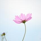 秋。。。