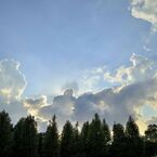 _DSC0087
