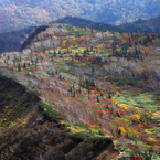 茶臼山の秋