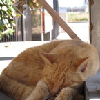 眠る。