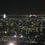 東京&千葉夜景Ⅵ（葛西臨海公園、東京ゲートブリッジ方面）