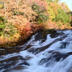 竜頭の滝と紅葉