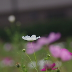 風とともに・・・