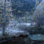 田代池