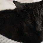 「Ｚｚｚ・・・」