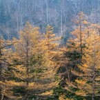 IMG_4953