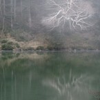 五色沼&白枝