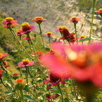 DSC02119