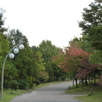 散歩道