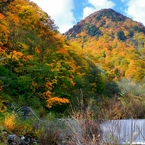 錦秋　深山を流れ下りて