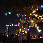 Fantastic Tree