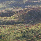 草津・白根山 (6)