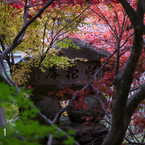 _YIN0030