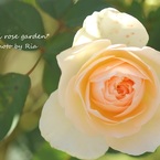 IMG_0711ria