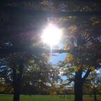 Golden Autumn