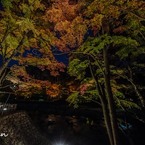 夜の彩り