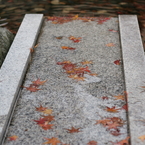 DPP_0005