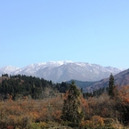 It's winter soon (11)