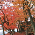 鶴山公園2