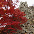 鶴山公園4
